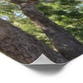 Poster Monarch Butterfly on Purple Flowers (Coin)