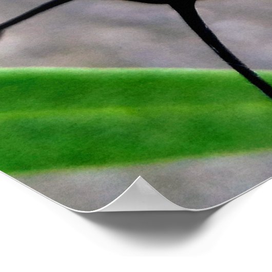 Poster Monarch Caterpillar (Coin)