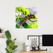 Poster Monarch Caterpillar (Bureau à domicile)