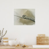 Poster Monarch Caterpillar Art Imprimer (Cuisine)