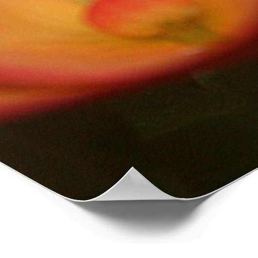 Poster Monarch Chrysalis (Coin)