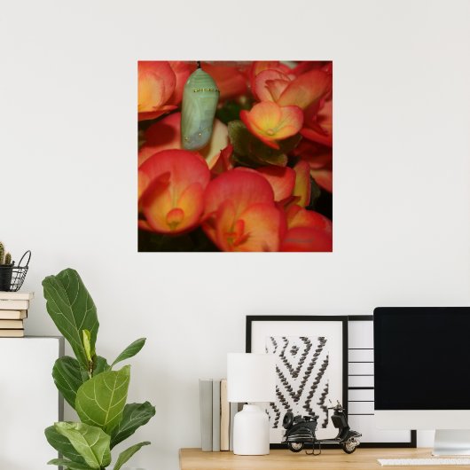 Poster Monarch Chrysalis (Bureau à domicile)