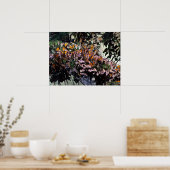 Poster Monarque Butterflies (Cuisine)