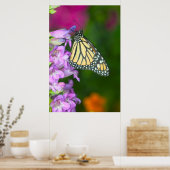 Poster Monarque | Danaus Plexippus (Cuisine)