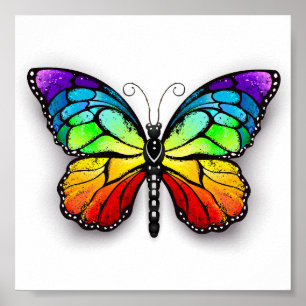 Poster Monarque papillon arc-en-ciel