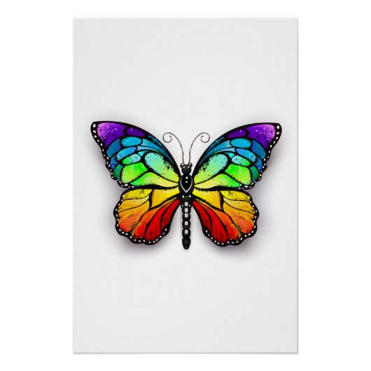 Poster Monarque papillon arc-en-ciel (Devant)