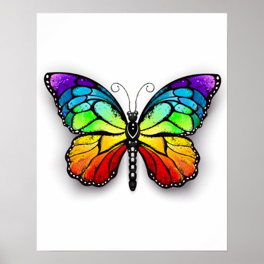 Poster Monarque papillon arc-en-ciel (Devant)