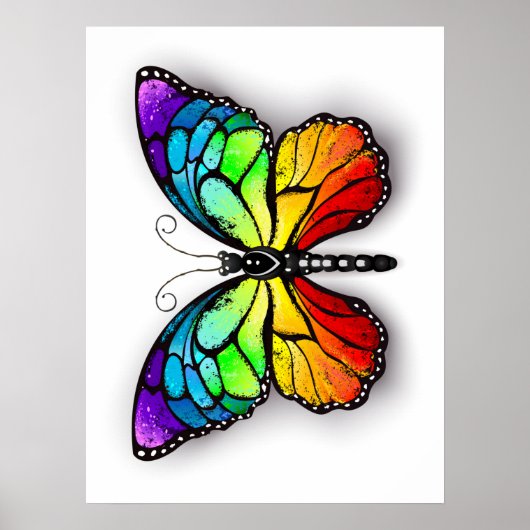 Poster Monarque papillon arc-en-ciel (Devant)
