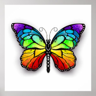 Poster Monarque papillon arc-en-ciel