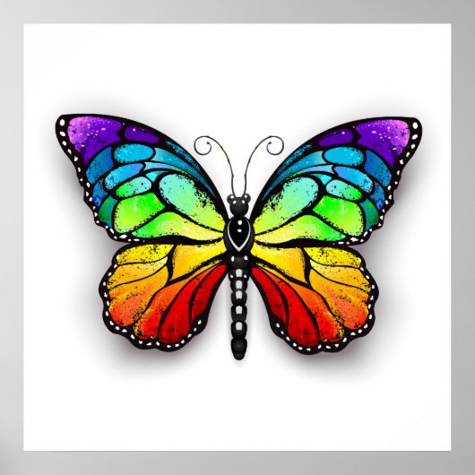 Poster Monarque papillon arc-en-ciel (Devant)