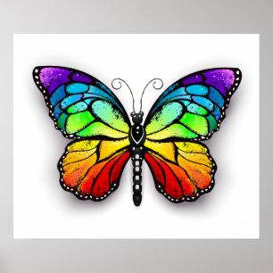 Poster Monarque papillon arc-en-ciel
