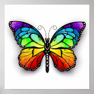 Poster Monarque papillon arc-en-ciel