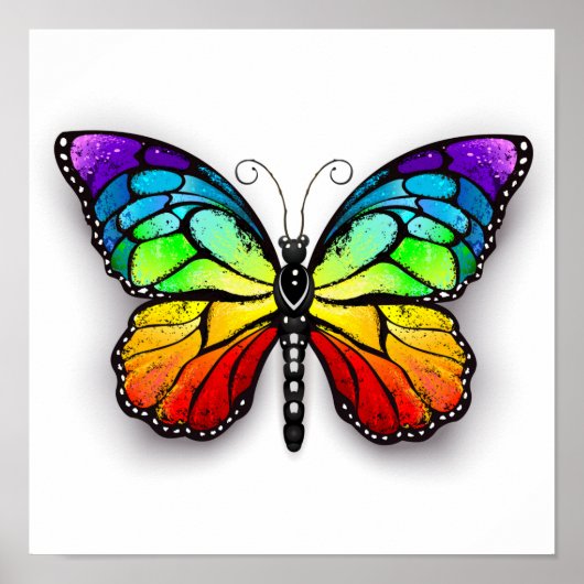 Poster Monarque papillon arc-en-ciel (Devant)
