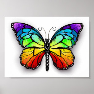 Poster Monarque papillon arc-en-ciel