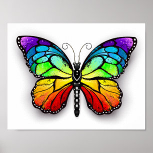 Poster Monarque papillon arc-en-ciel