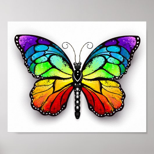 Poster Monarque papillon arc-en-ciel (Devant)
