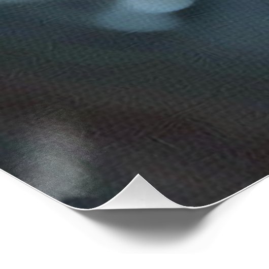 Poster *~* Monarque Papillon blanc Fleur AP52 (Coin)