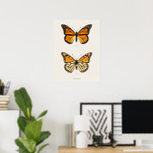 Poster Monarque papillon Danais Archippus Sherman Denton (Bureau à domicile)