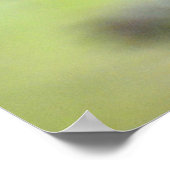 Poster Monarque papillon grignoter sur nectar- photo post (Coin)