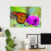 Poster Monarque papillon grignoter sur nectar- photo post (Bureau à domicile)