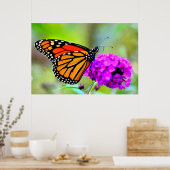 Poster Monarque papillon grignoter sur nectar- photo post (Cuisine)