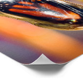 Poster Monarque Papillon Photographie Décor mur Imprimer (Coin)