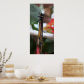 Poster Monarque Posé Régal (Cuisine)