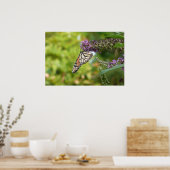 Poster Monarque sur Buddleia (Cuisine)