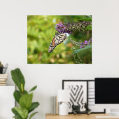 Poster Monarque sur Buddleia (Bureau à domicile)