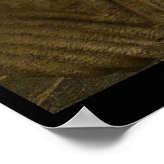 Poster Monastère de Leyre (Coin)