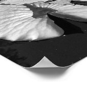 Poster Monde de grenouilles (Coin)