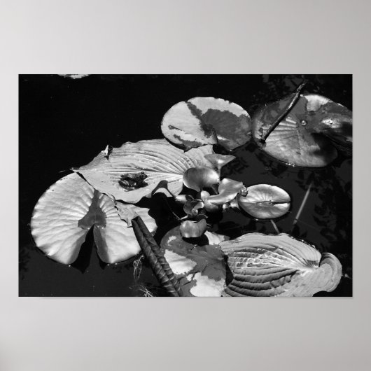 Poster Monde de grenouilles (Devant)