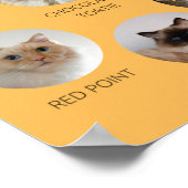 Poster Monde de la Ragdoll, A3 imprimable ou plus petit (Coin)