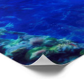 Poster Monde des dauphins "VENT SUR L'EAU" (Coin)