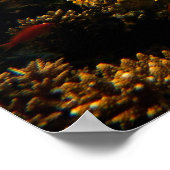 Poster Monde sous-marin (Coin)