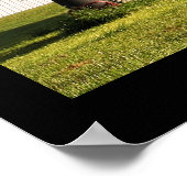 Poster Mondes Biplane le plus grand (Coin)