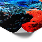 Poster Mondial Coral Reef (Coin)