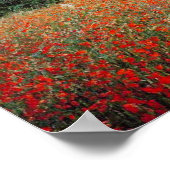 Poster Monet Field of Red Poppies (Coin)
