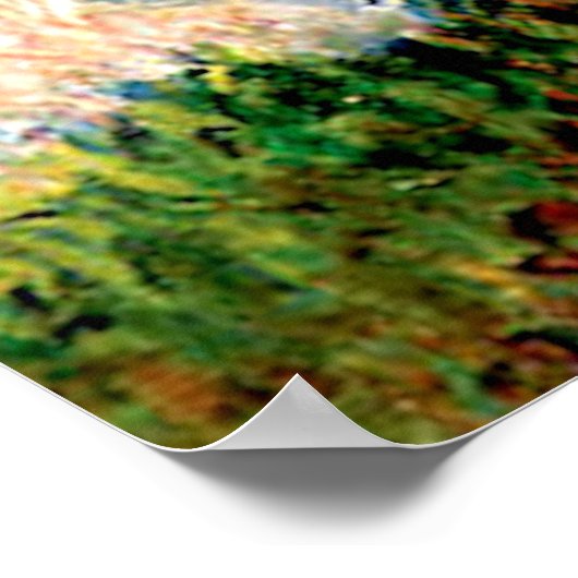 Poster Monet Lady avec Parasol (Coin)