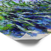 Poster Monet Lilac Irises (Coin)