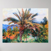 Poster Monet - Palmier à Bordighera, (Devant)