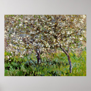Poster Monet - Pommiers en fleurs