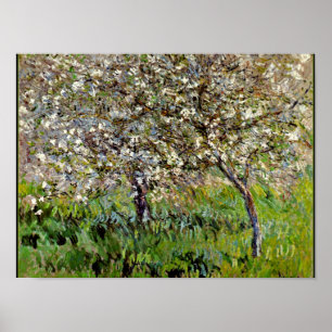 Poster Monet - Pommiers en fleurs