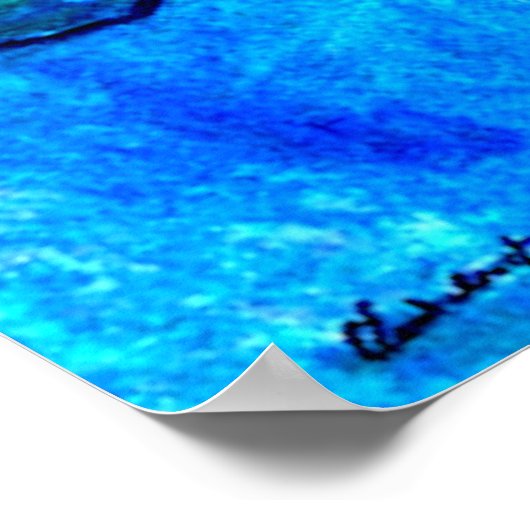 Poster Monet Water Lillies (Coin)