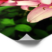 Poster Moneymaker Lily (Coin)