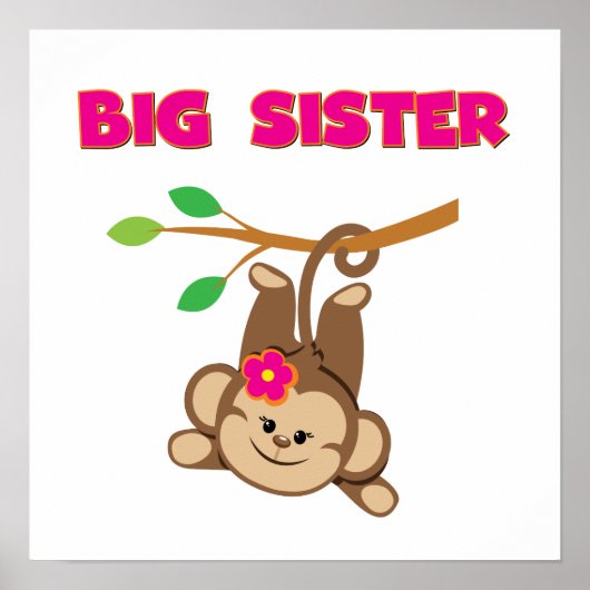 Poster Monkey Big Sister (Devant)