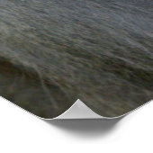 Poster Monkey Breast Nourrir Son Bébé (Coin)