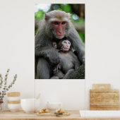 Poster Monkey Breast Nourrir Son Bébé (Cuisine)