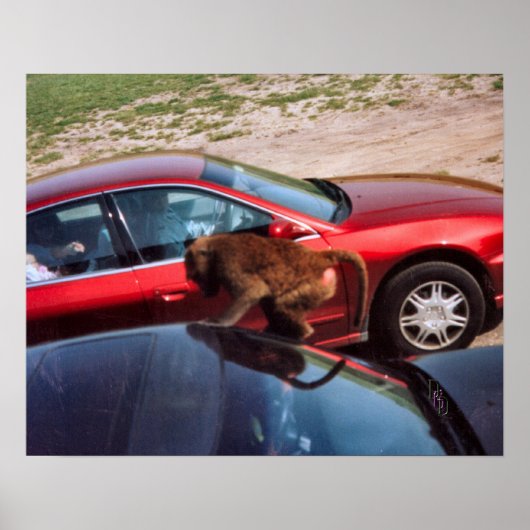 Poster Monkey Business (Devant)