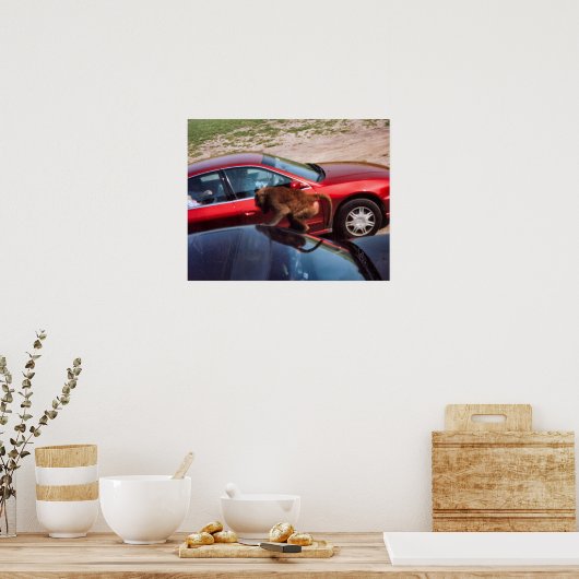 Poster Monkey Business (Cuisine)